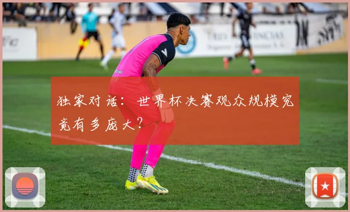 独家对话：世界杯决赛观众规模究竟有多庞大？