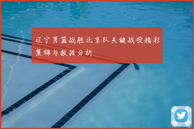 辽宁男篮战胜北京队关键战役精彩集锦与数据分析