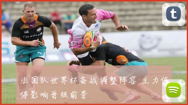 法国队世界杯备战调整阵容 主力伤停影响晋级前景