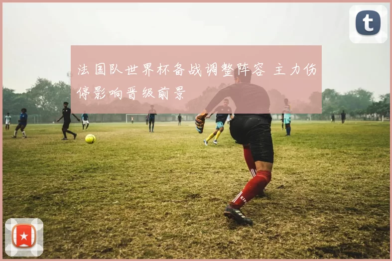 法国队世界杯备战调整阵容 主力伤停影响晋级前景