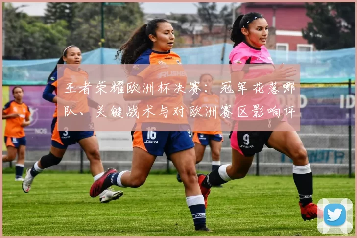 王者荣耀欧洲杯决赛：冠军花落哪队、关键战术与对欧洲赛区影响评估