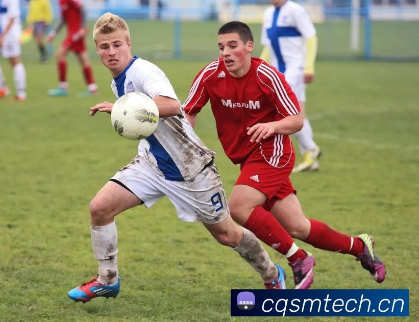 乐鱼(leyu)体育(2025 - 下载安装 - App下载)服务体系